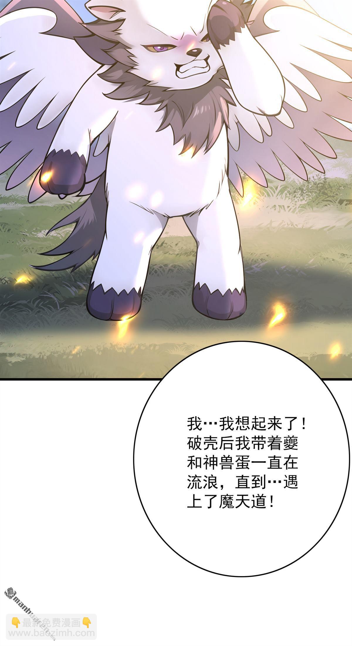 第275回 陈玄救我！43
