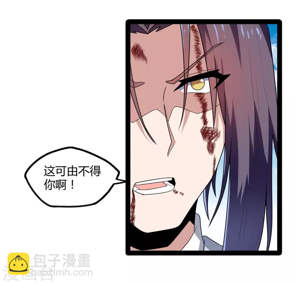 第115话 神秘来历4