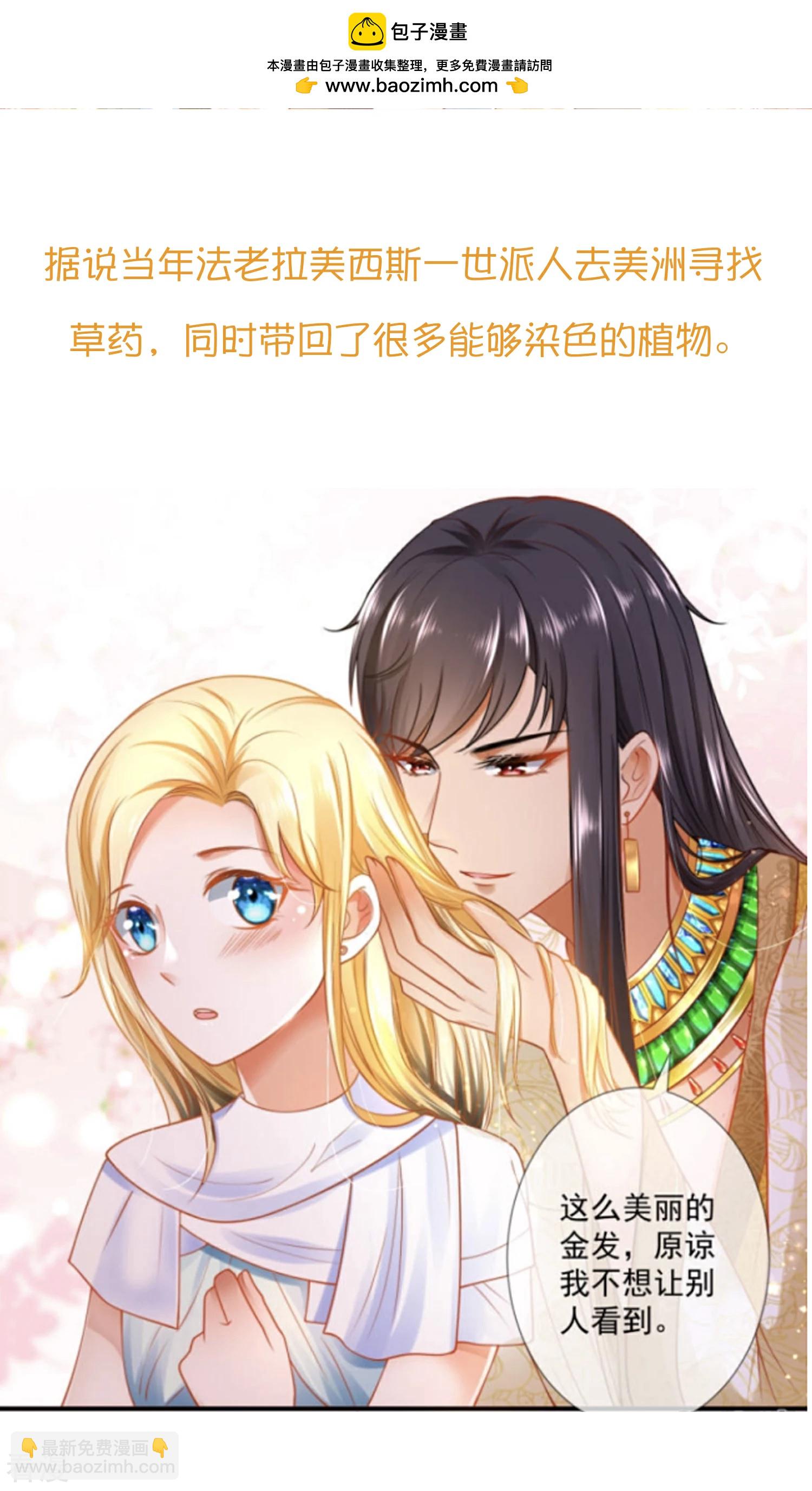 王的茶话会27 爱美之染发史1
