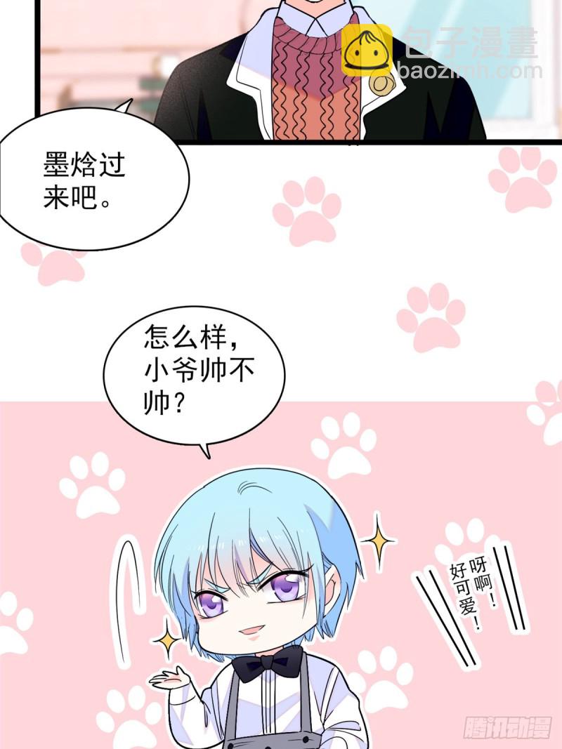 064 小狐狸被泼硫酸？！22