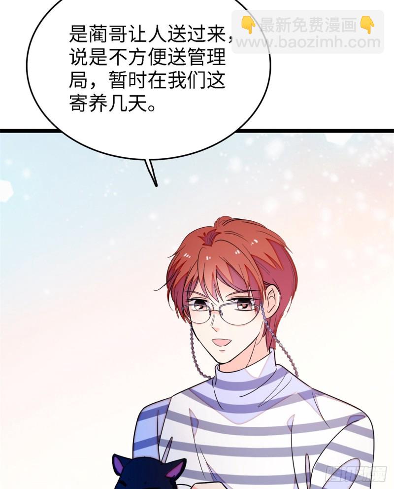 153 麻雀姐姐，专治绿茶18