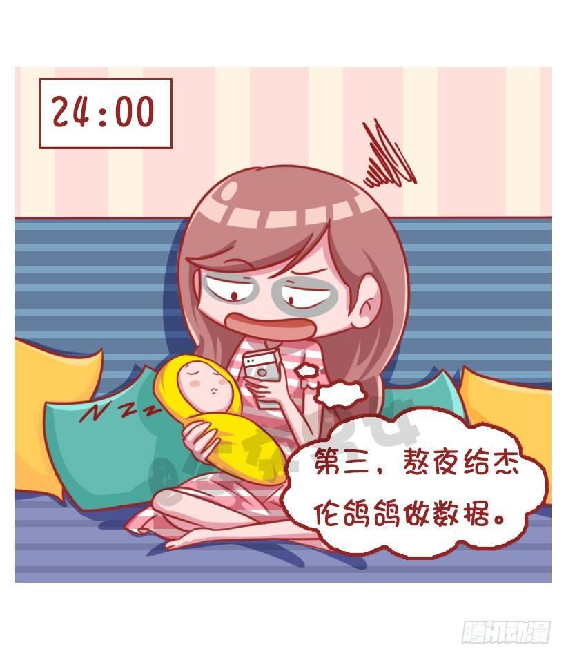 粉丝的力量11