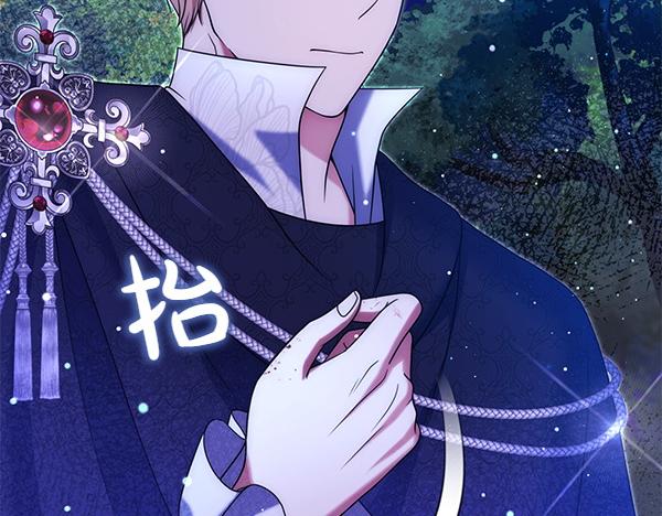 第43话 立刻召唤244