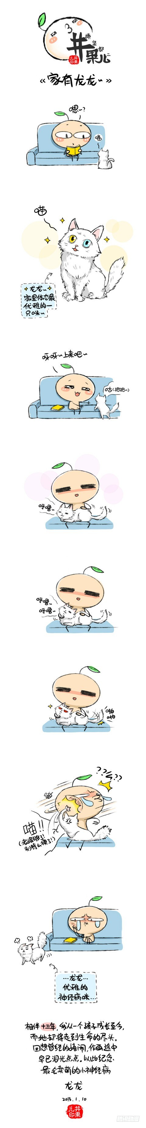 家中一咪--龙龙~0
