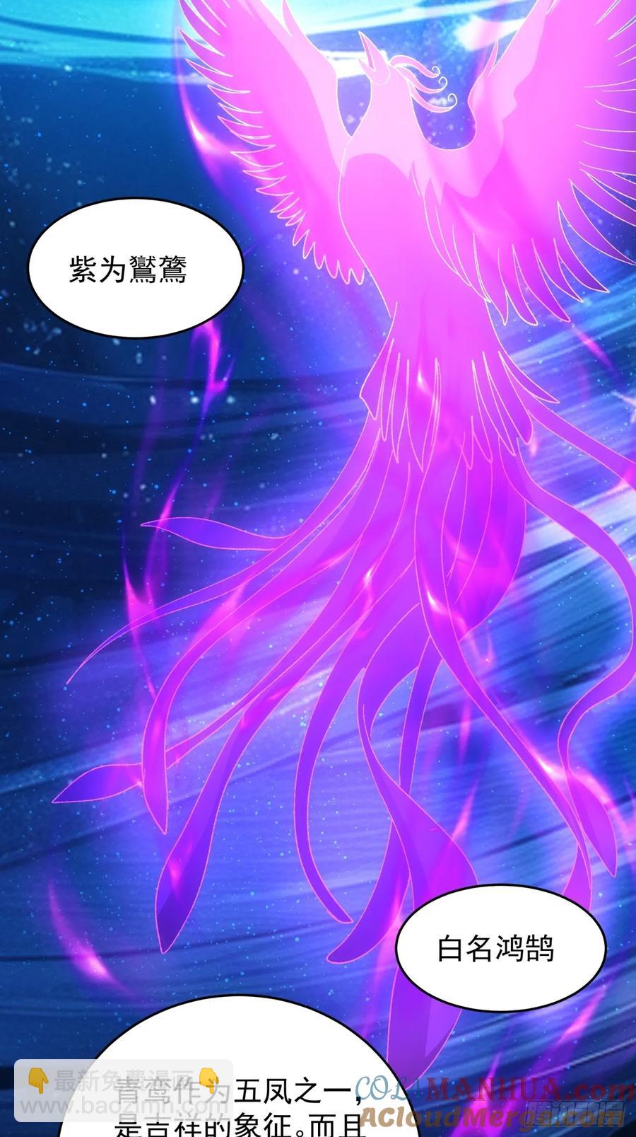 第209话：登津大峡谷6