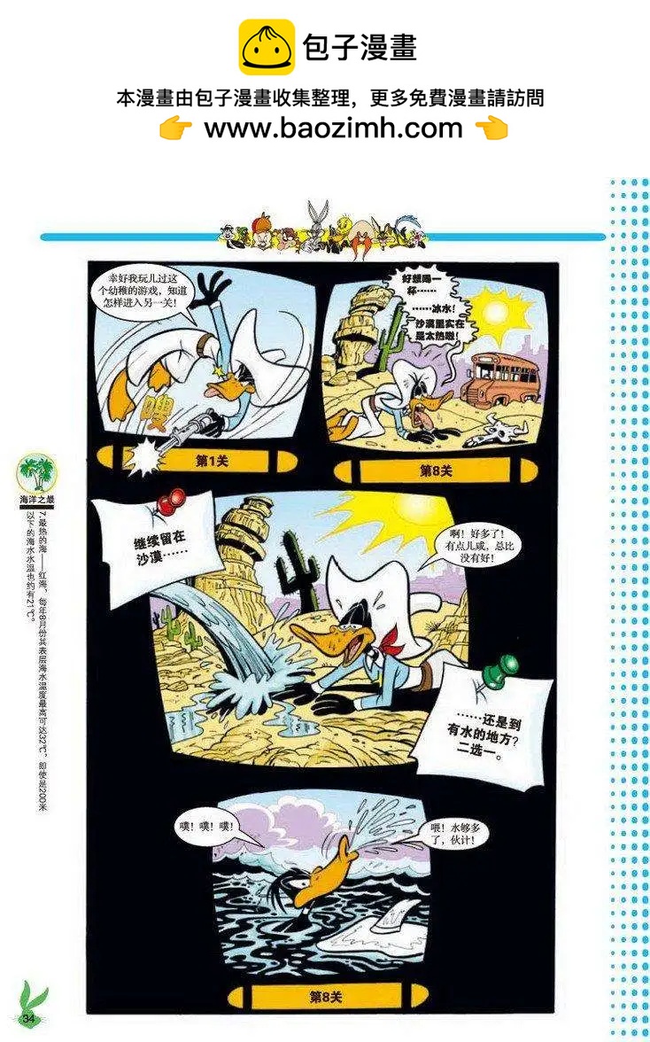 第31回6