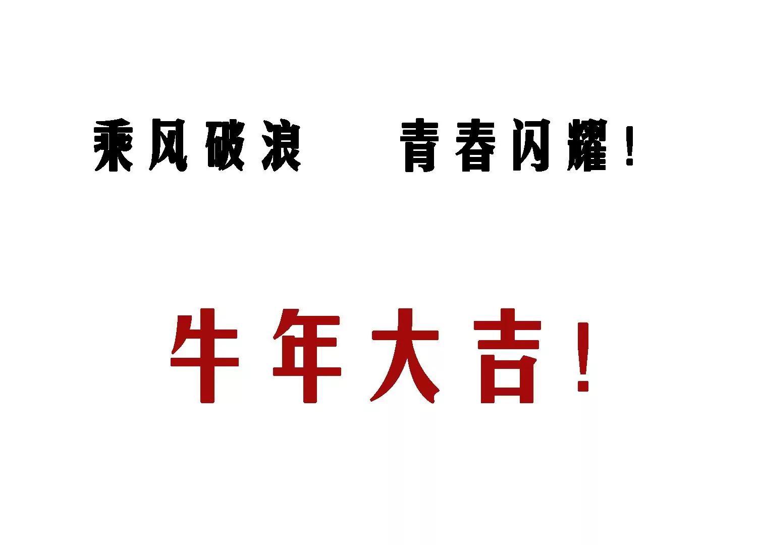 情人节专栏：牛年大吉62