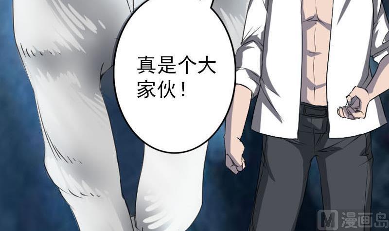 第94话 符印召唤69