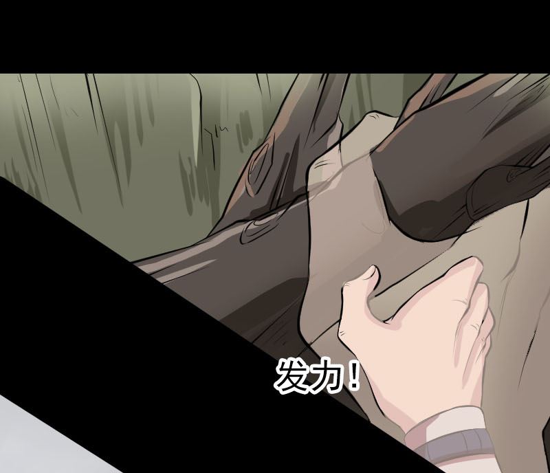第178话 青龙珠55
