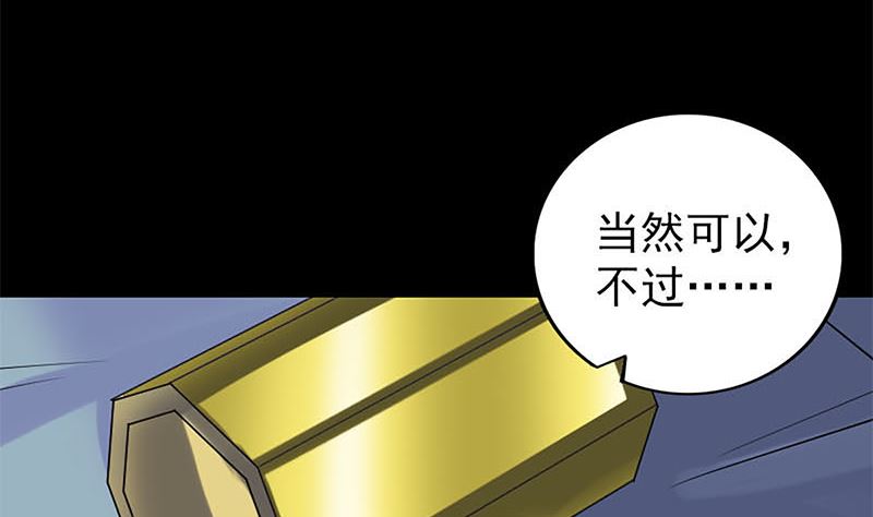第241话 继承者86