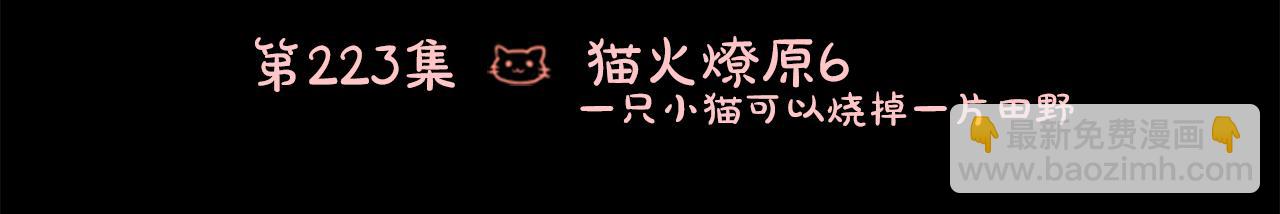 第223话 猫火燎原62