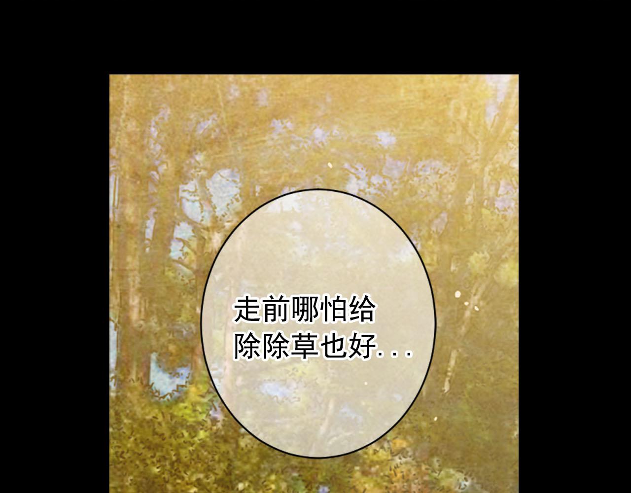 番外1 归途166