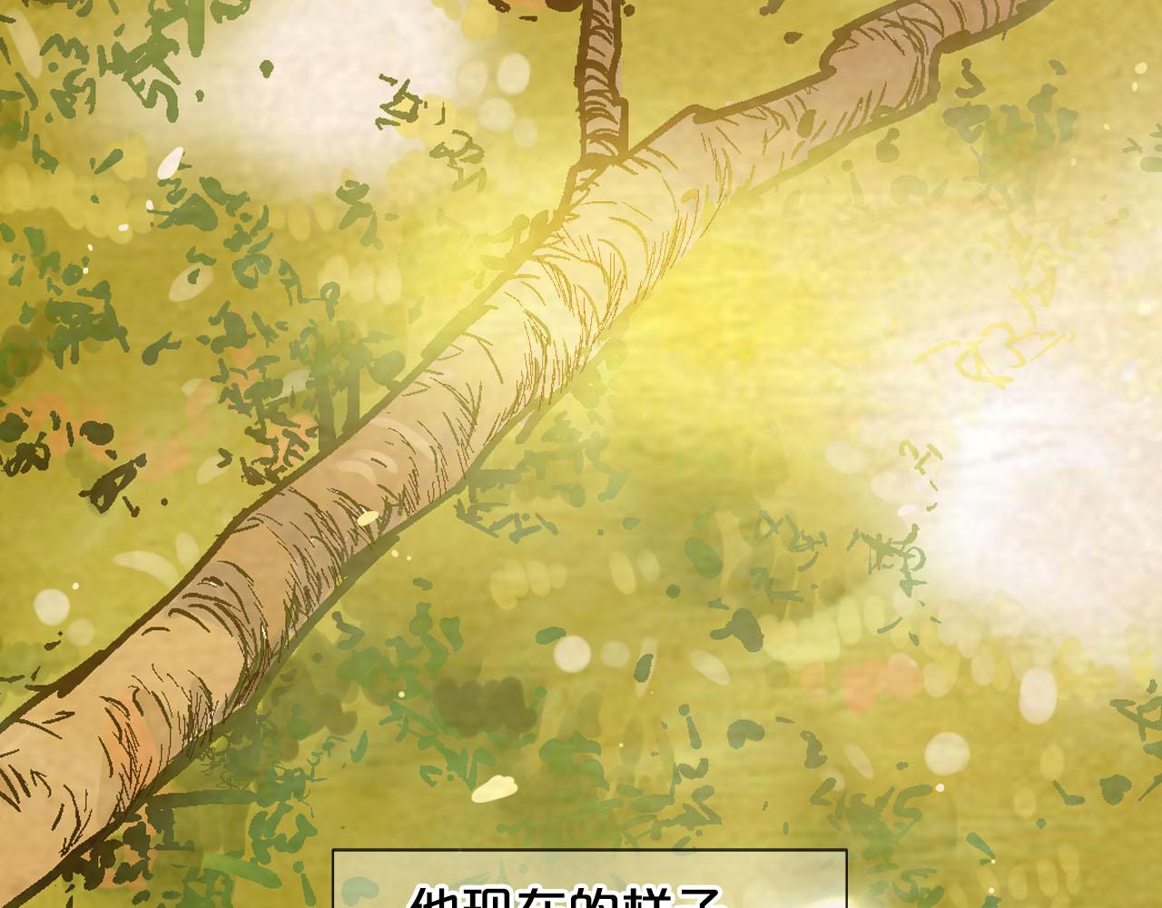 番外3 最幸福的模样202