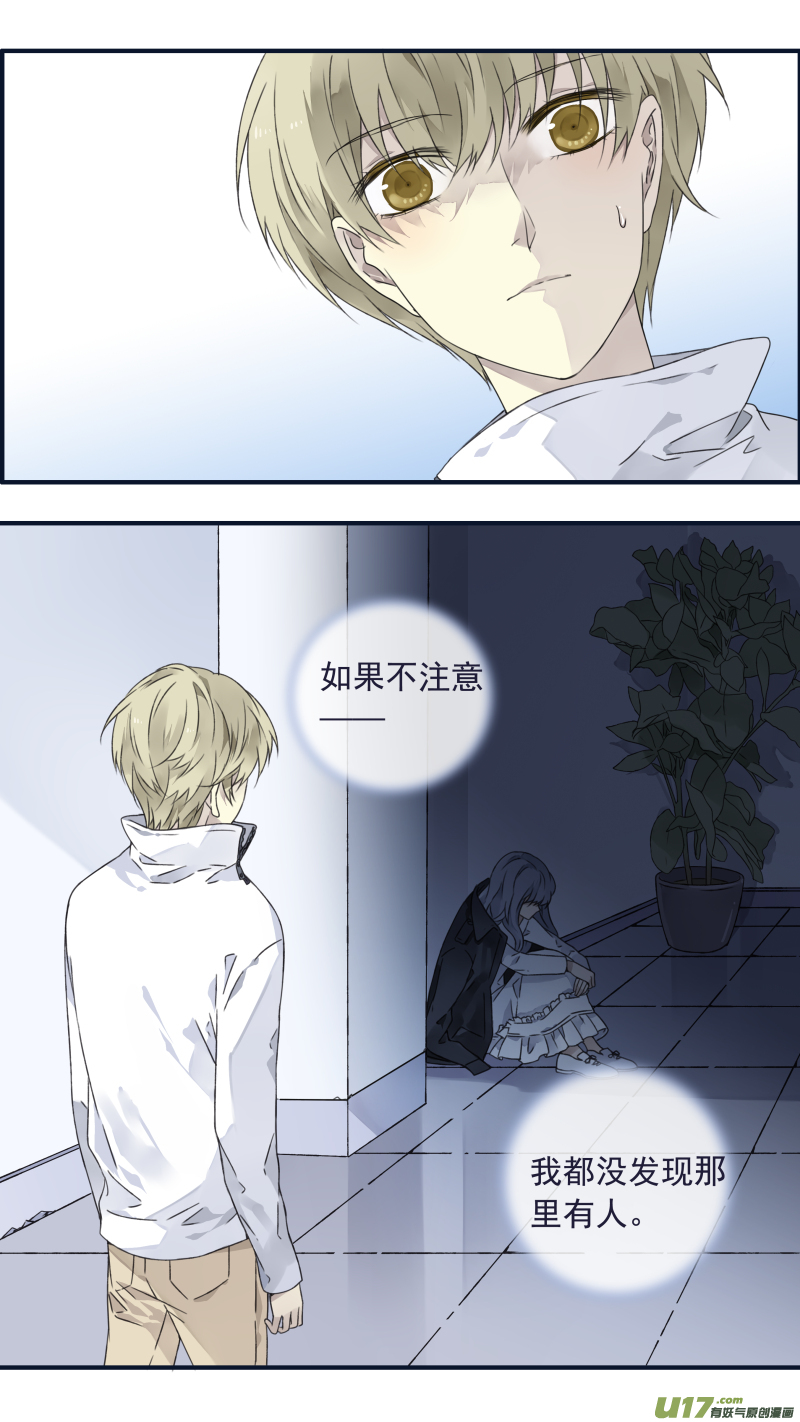 蓝翅猫咪版0