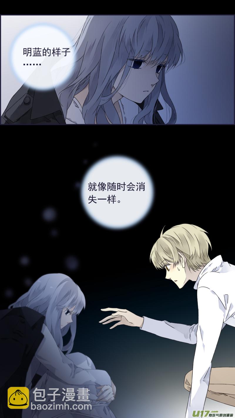 蓝翅猫咪版1