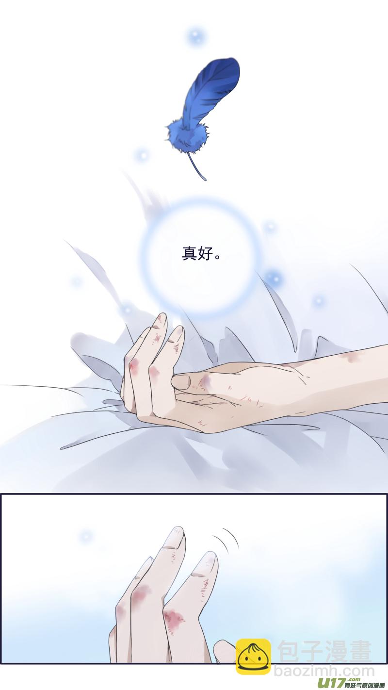 蓝翅猫咪版16