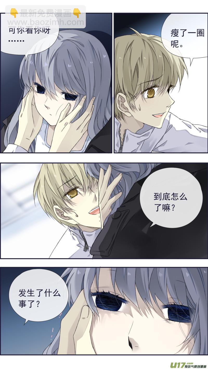 蓝翅猫咪版4