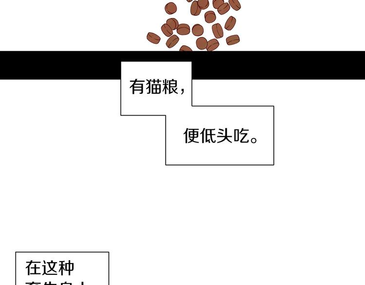 第4话 第一次橙子大战3