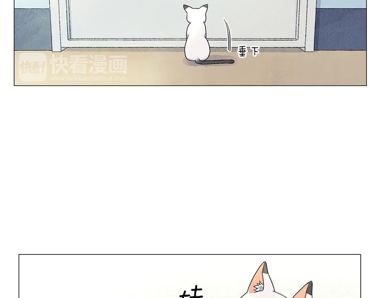 第4话 第一次橙子大战38
