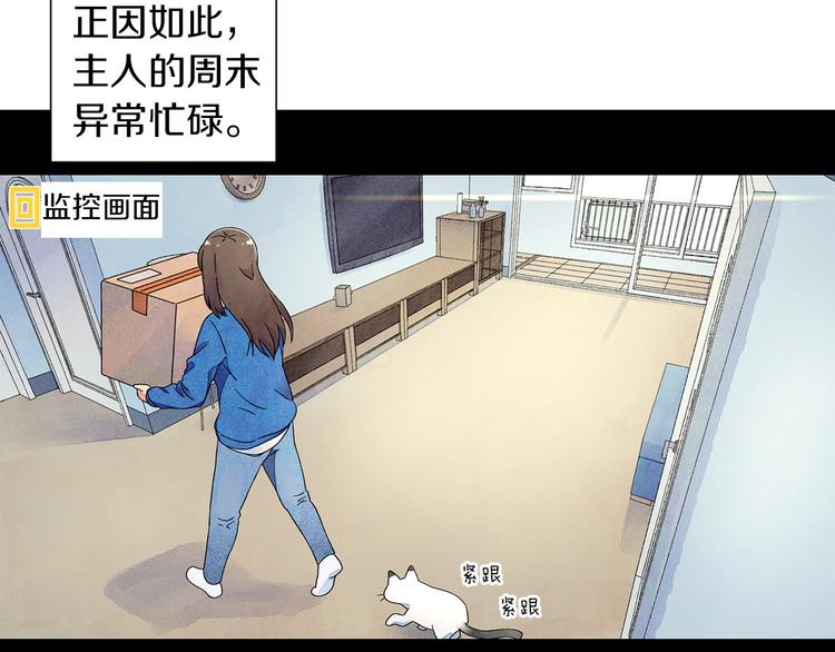 第4话 第一次橙子大战7