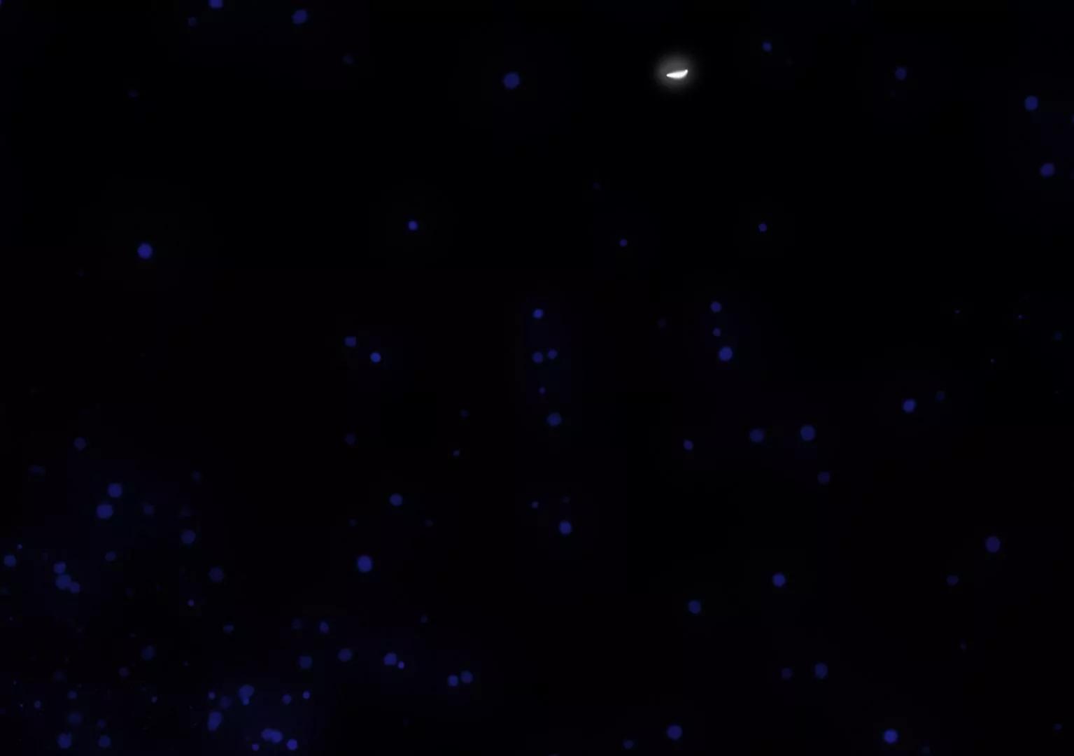 第16话 他们是谁？！32