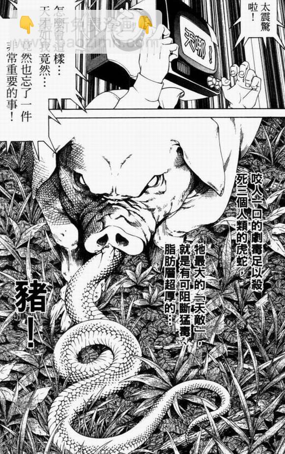 第8卷33
