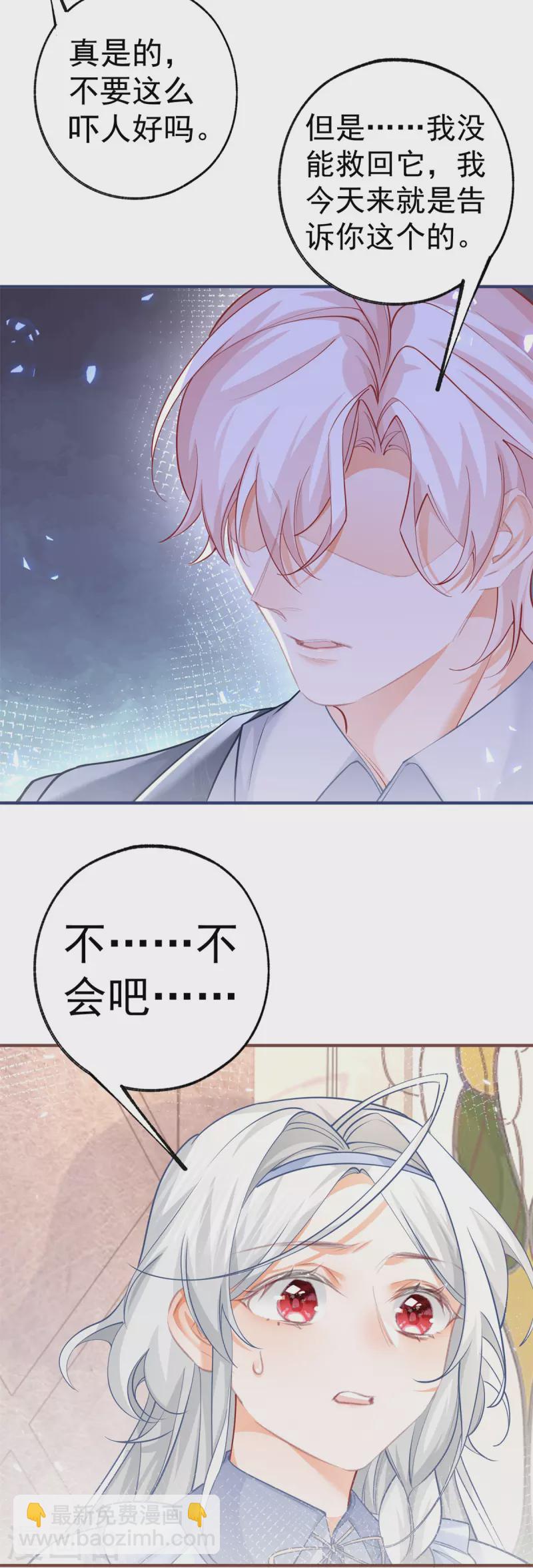 第63话 熊宝噩耗？11