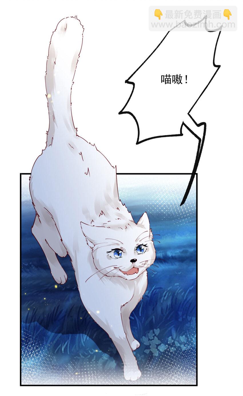 第206话 天神蕾蒂拉4