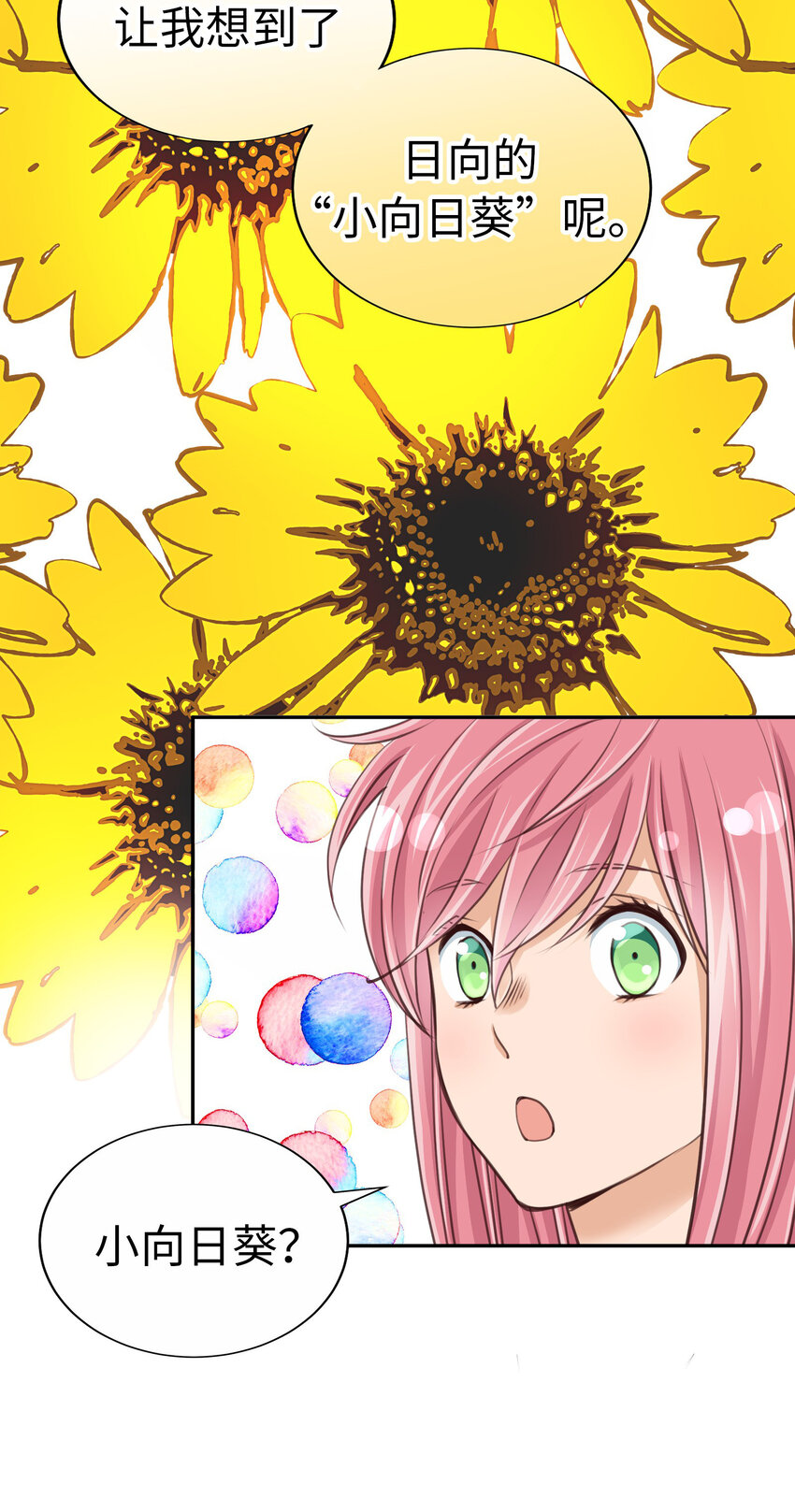 34 向日葵3