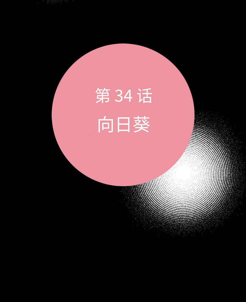 34 向日葵9