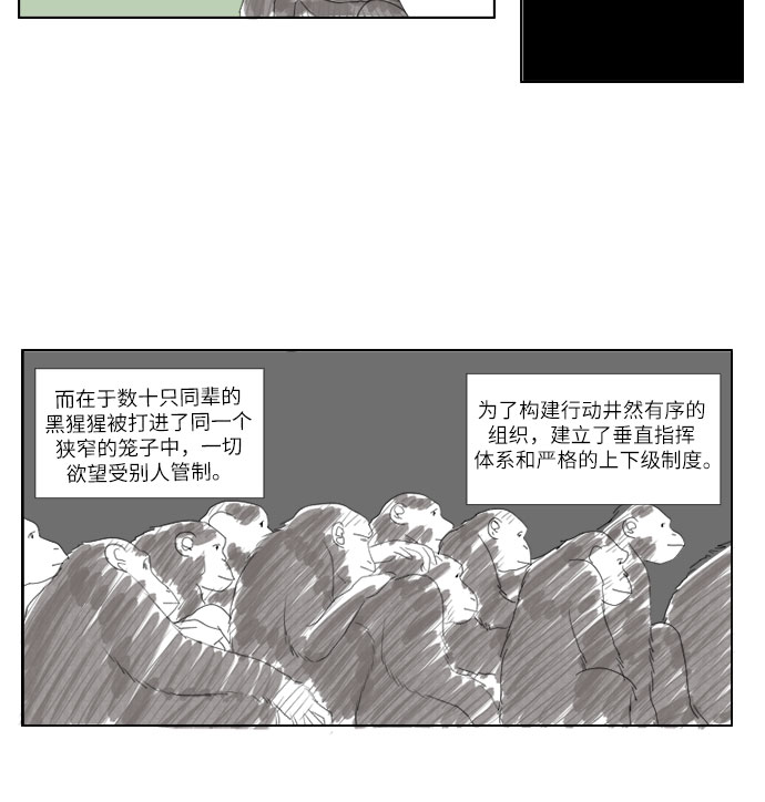 [第9话] 黑猩猩17