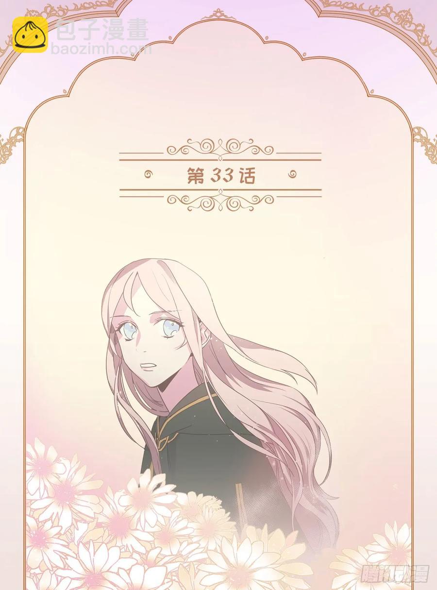 33.泰莱斯1