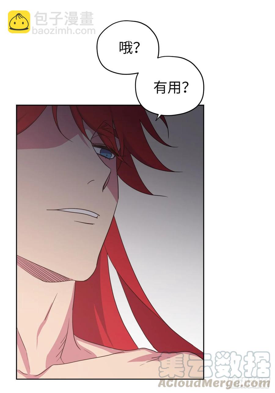 33.泰莱斯36