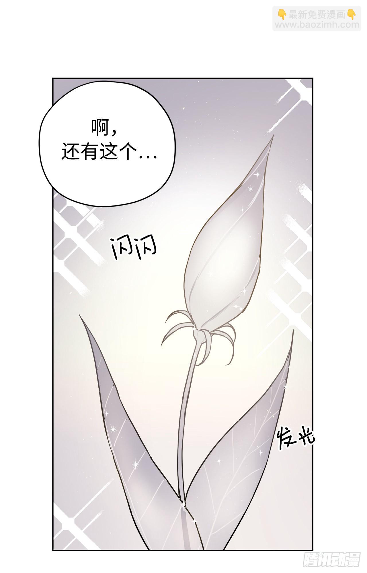 234.能干的菲尔巴丹28