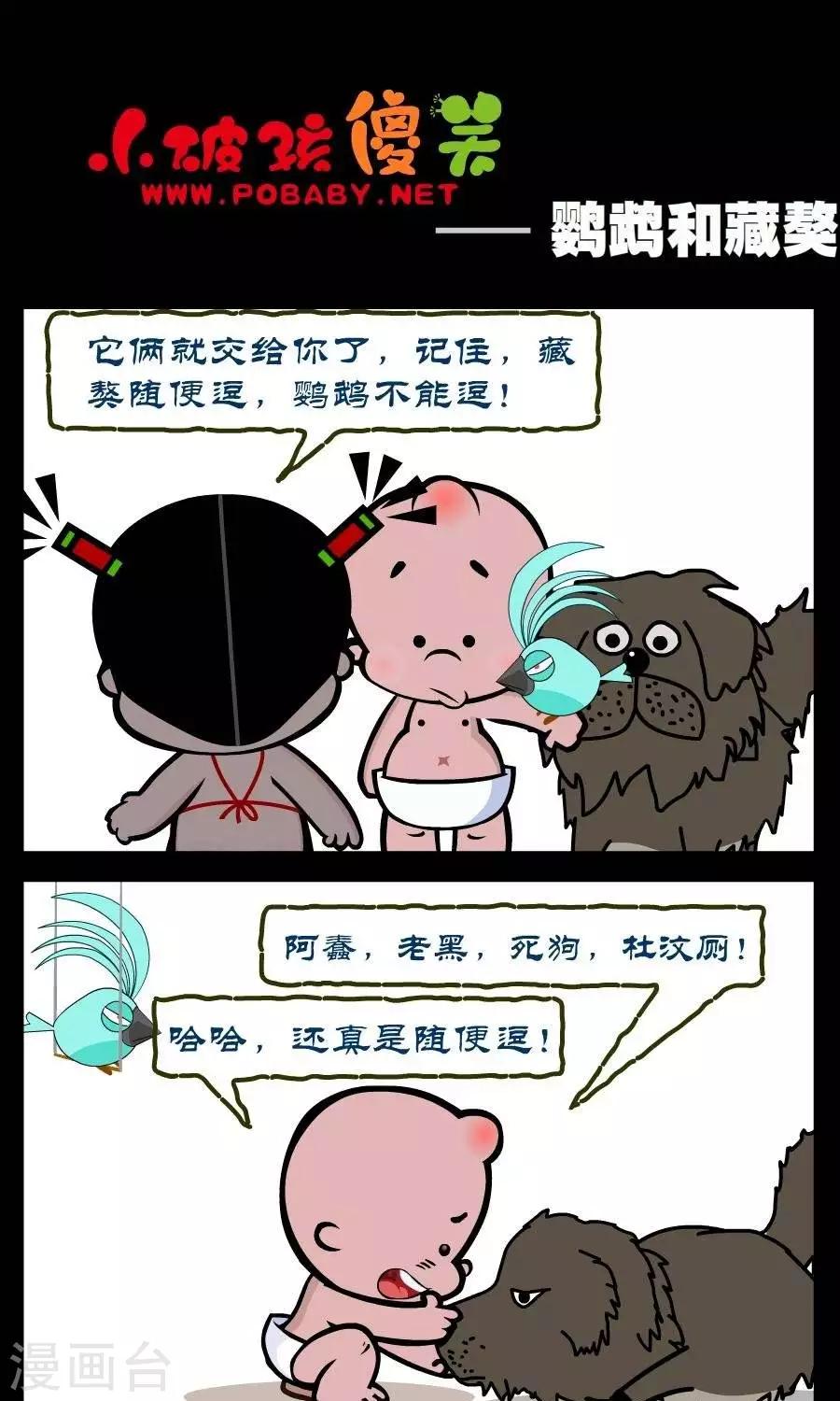 第327话  鹦鹉和藏獒0