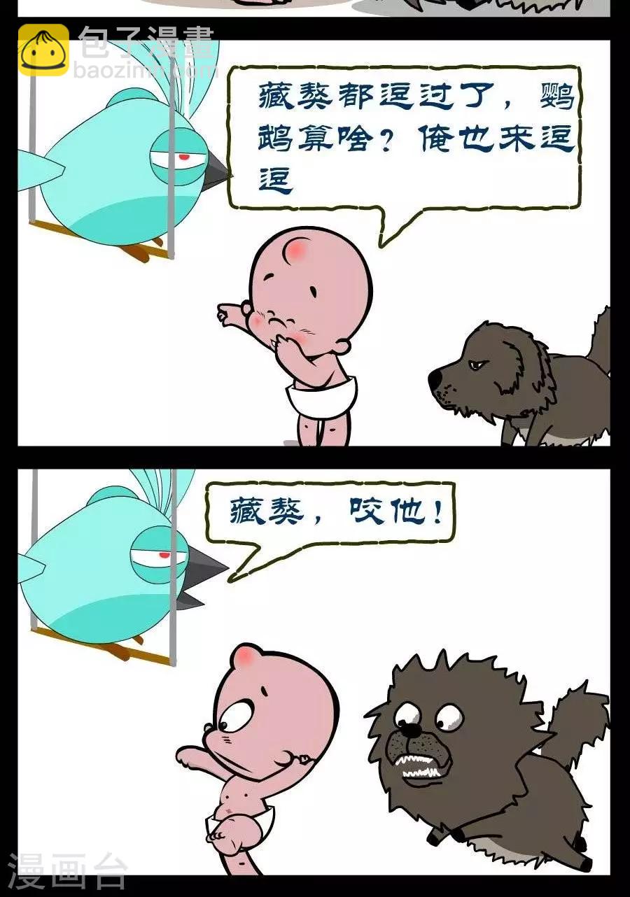 第327话  鹦鹉和藏獒1