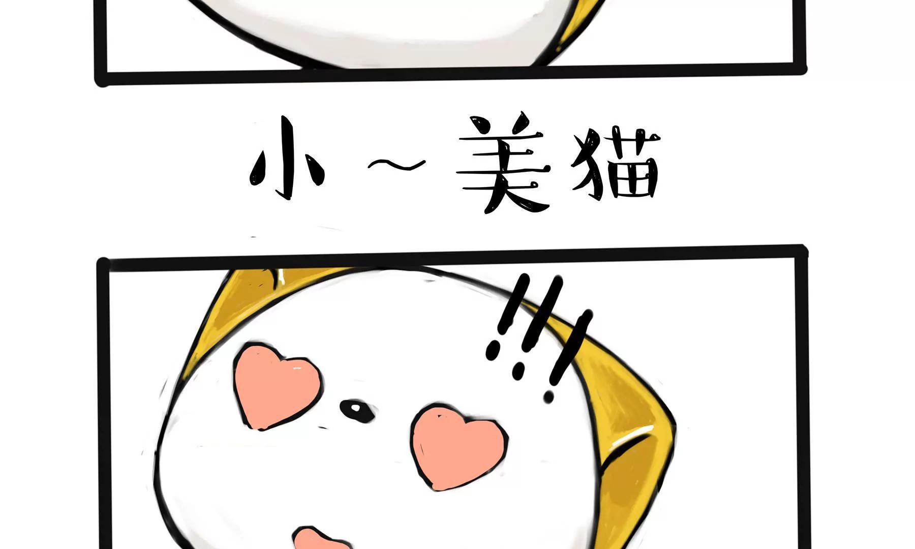 头可断 血可流19