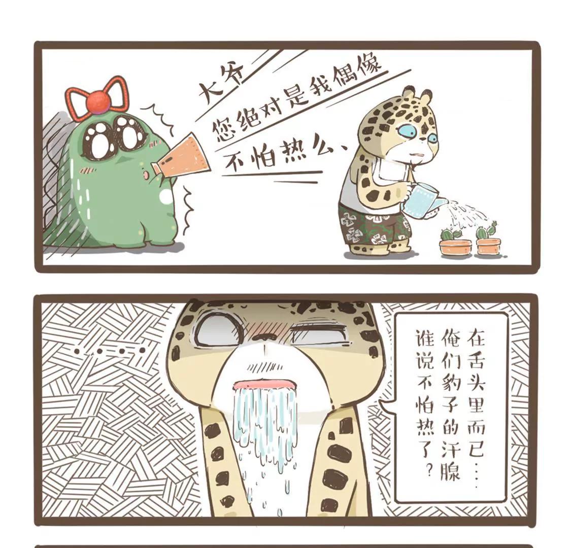 涂九门   热这个家伙，它死了8