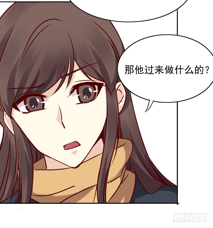“不如归去”11