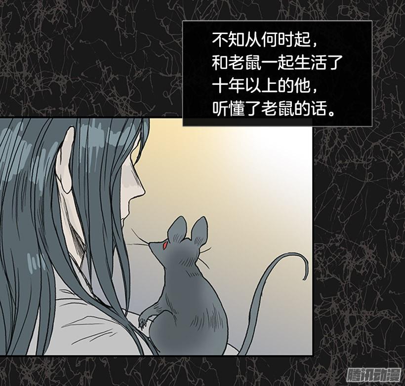 鼠王现身29