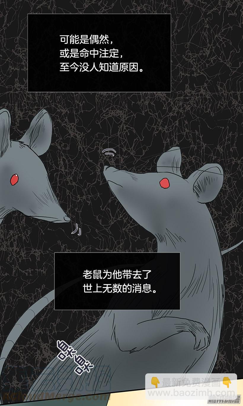 鼠王现身30