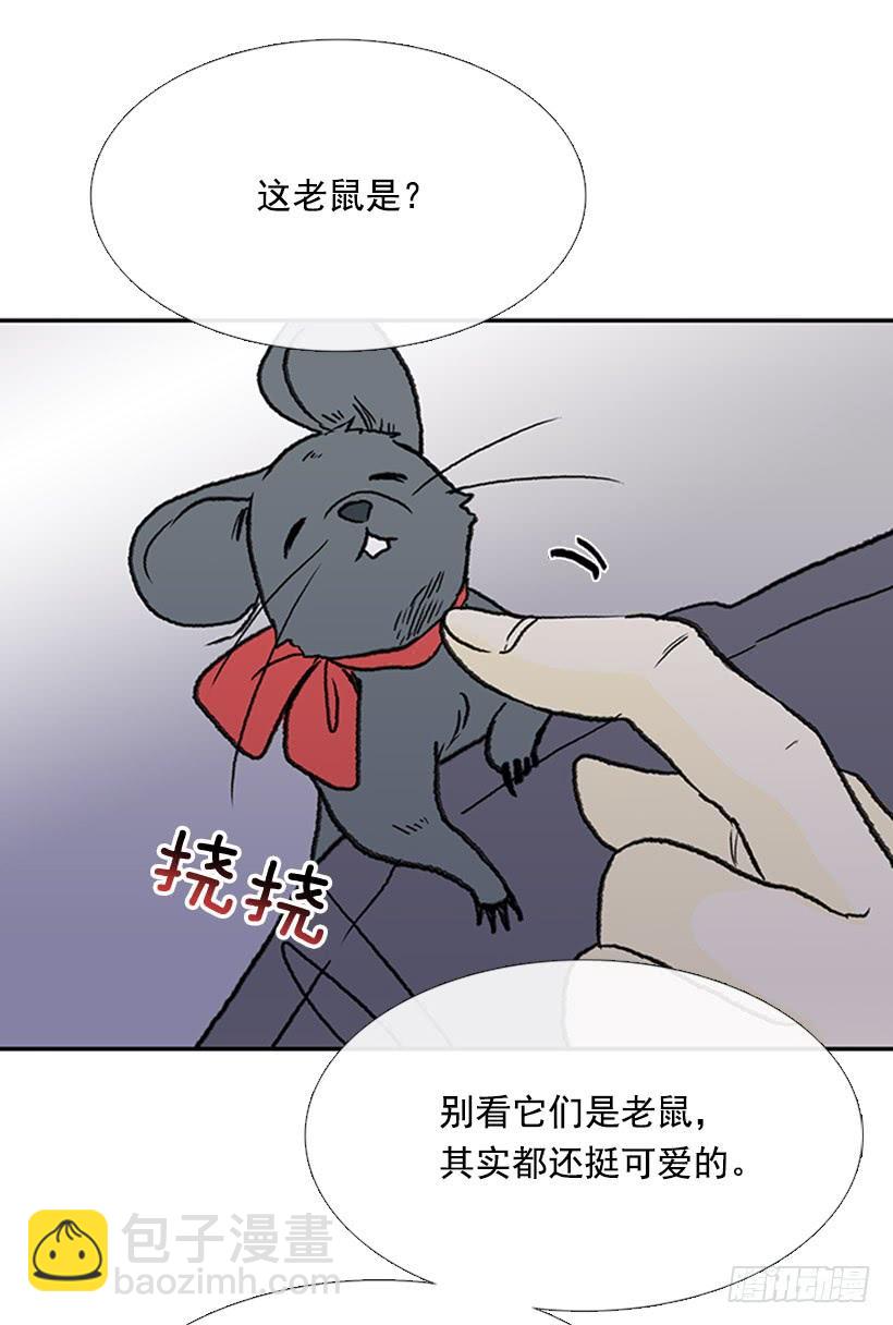 信使6