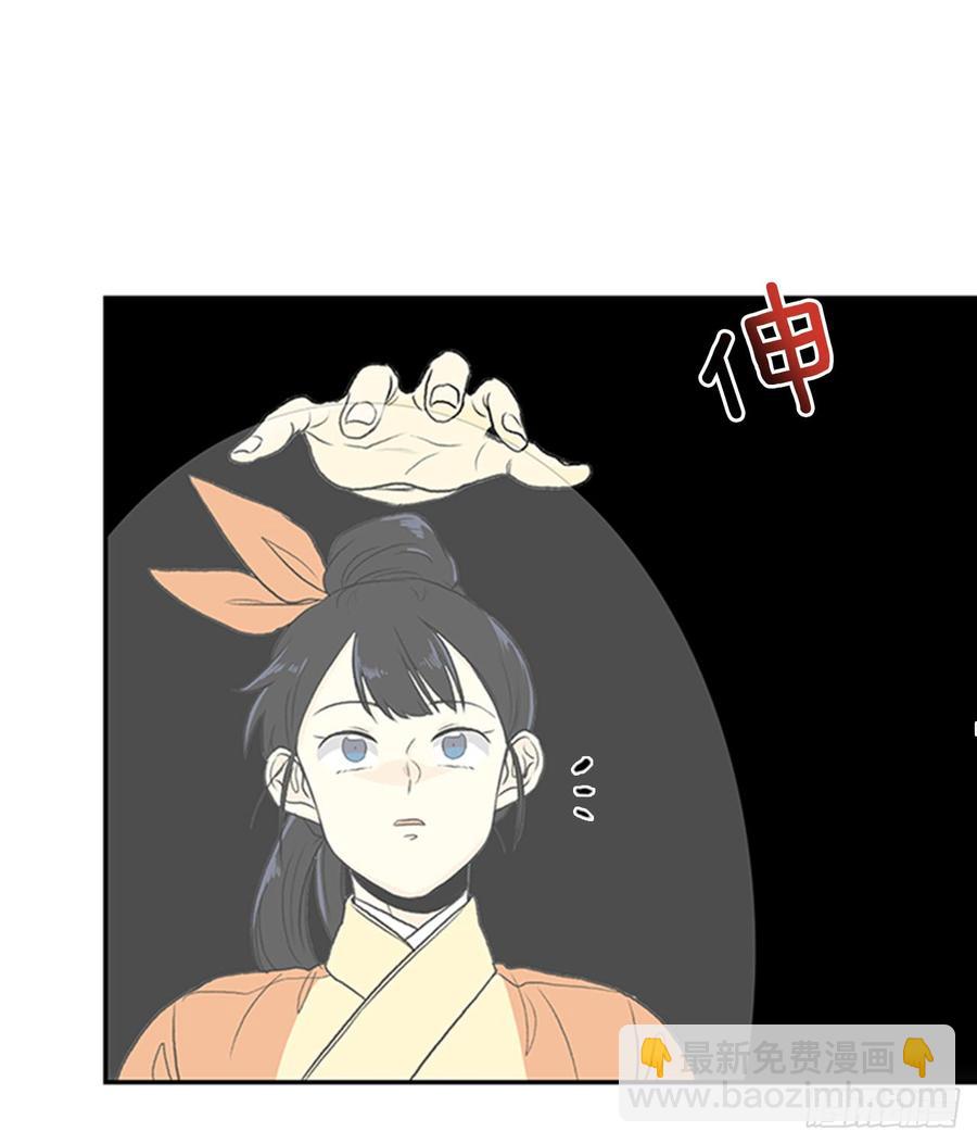 新招15
