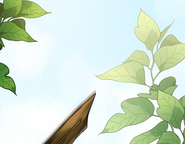 第1话 有趣的帖子126