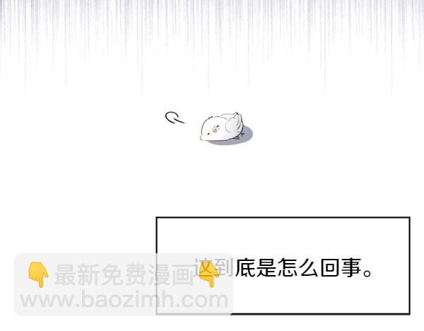 第1话 有趣的帖子183