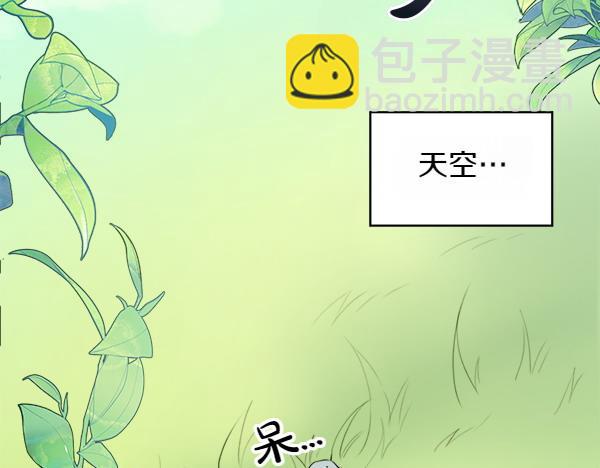第1话 有趣的帖子74