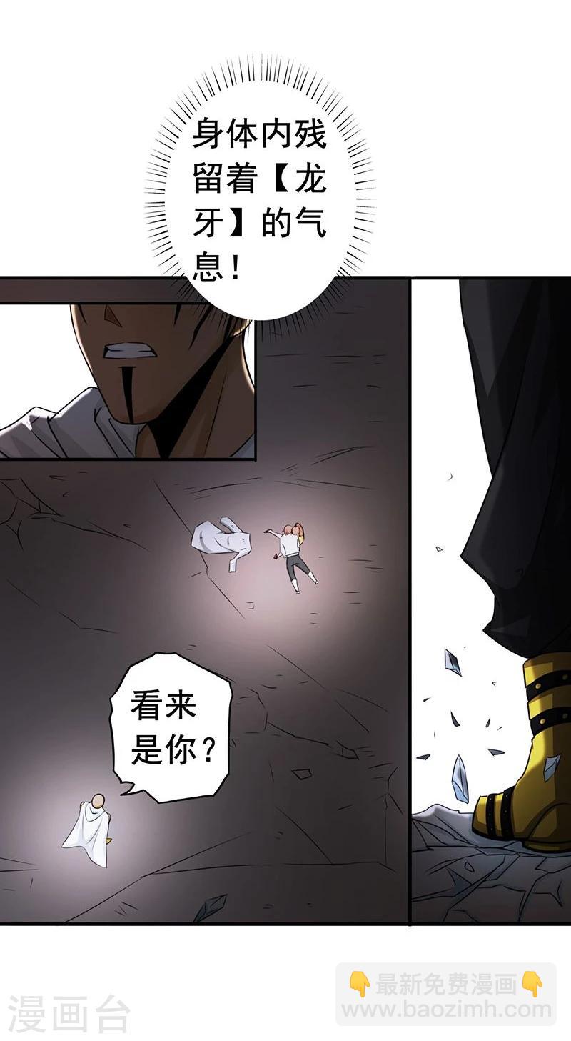 第101话 了解了21