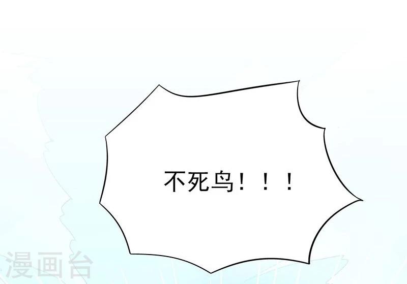 第128话 不死鸟！30