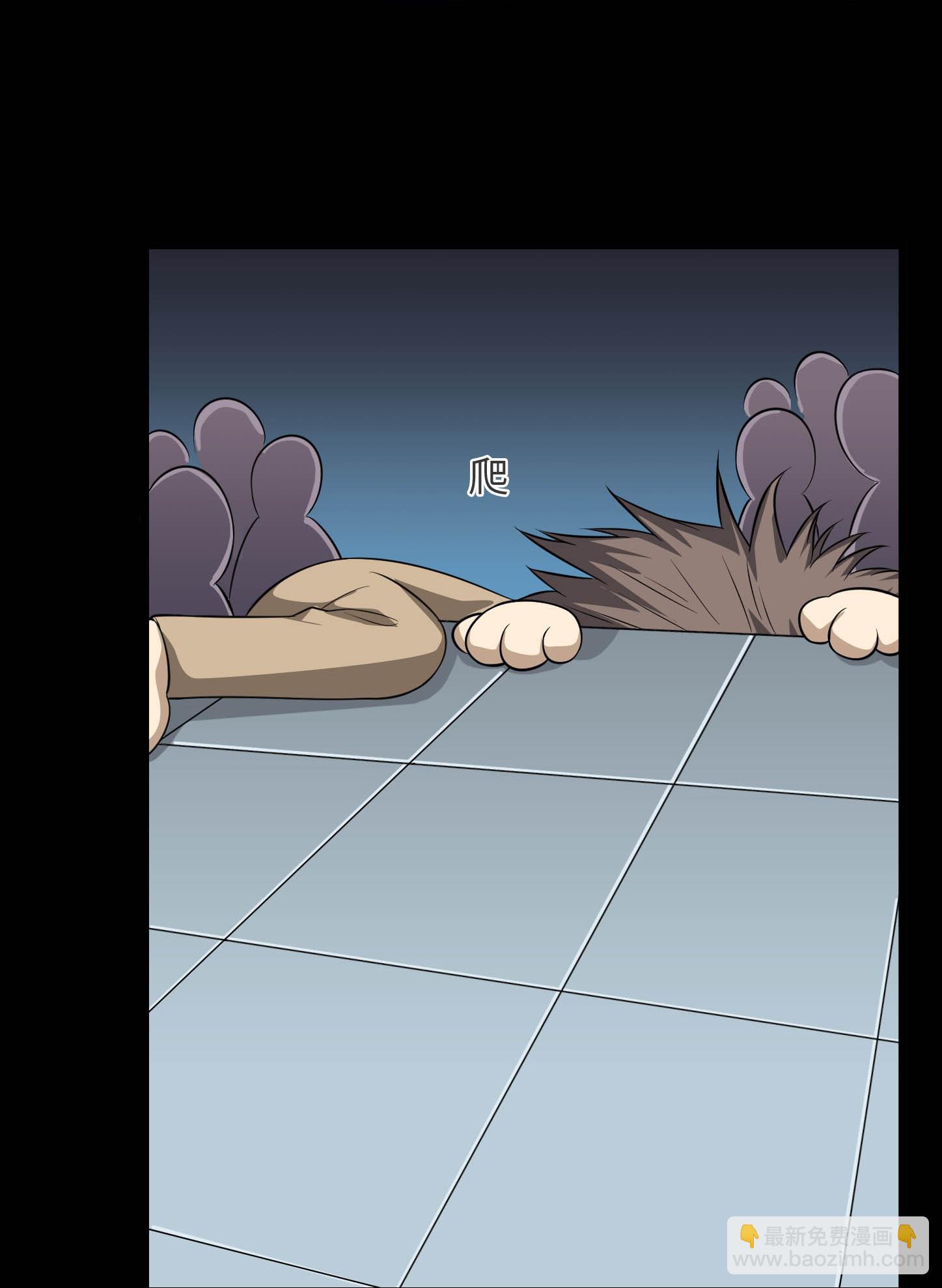 第790话 擂台开始21