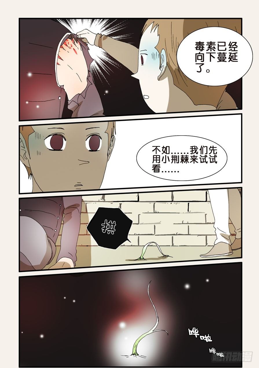 244谢谢你1